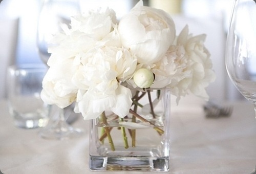 flowers, detail and white