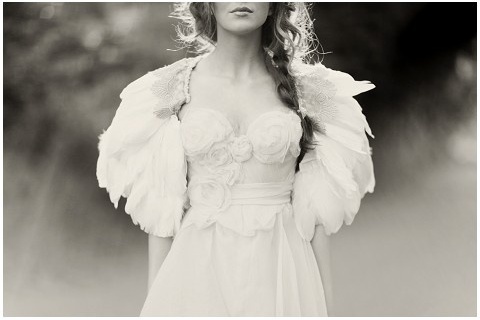 braid, wings and girl