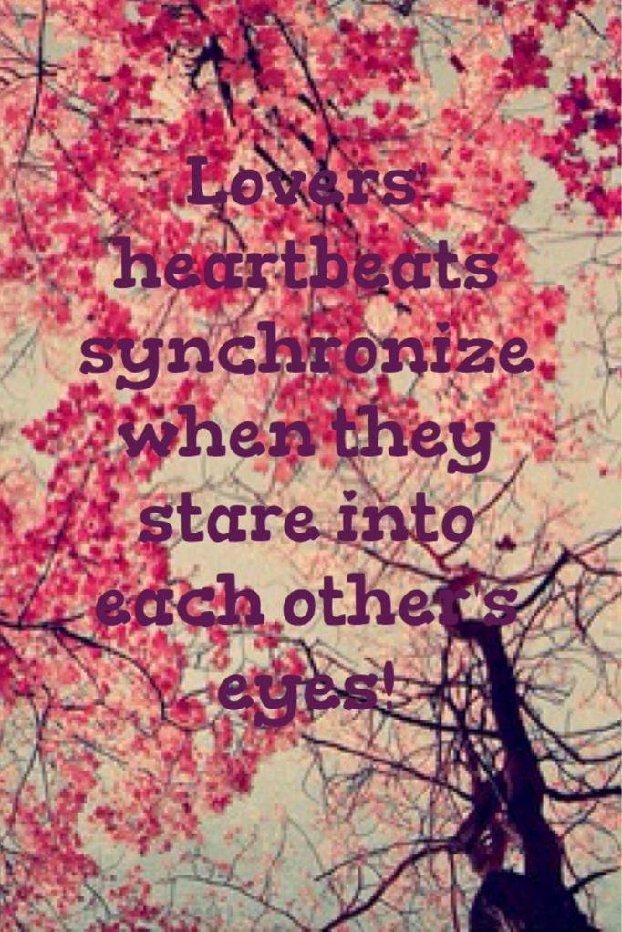 true, lovers, romantic and couples