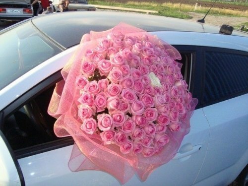 OMG, cute and rose