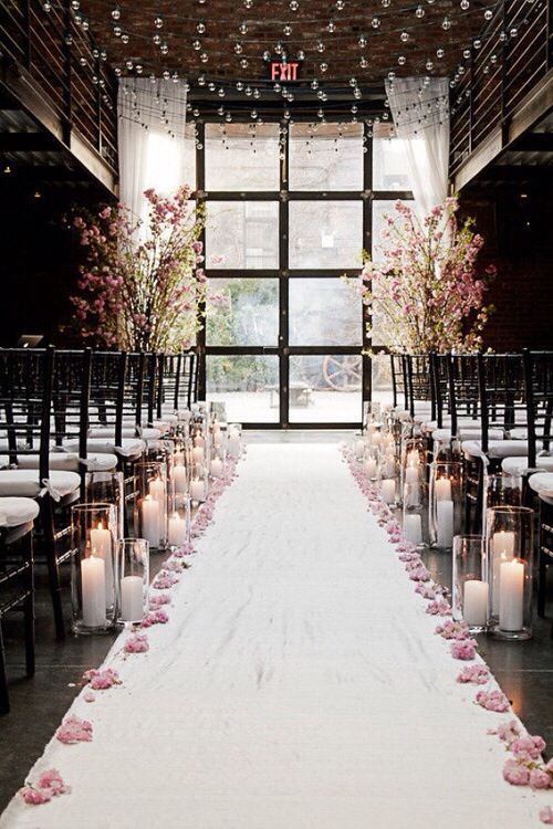 orchids, pink, venue and love