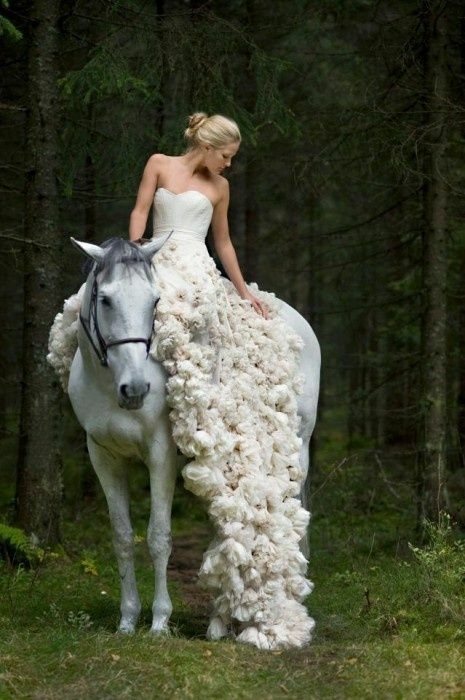 white horse, green, horse and wedding dress