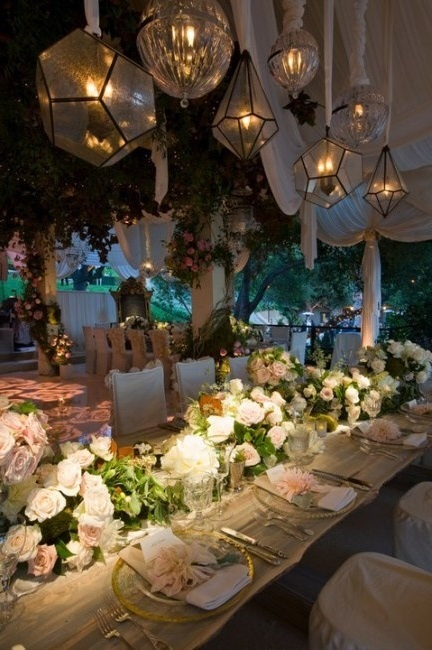 flowers, lights and roses