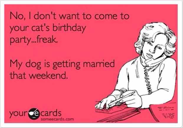 dogs, funny and women