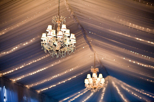 ligths, married and bride