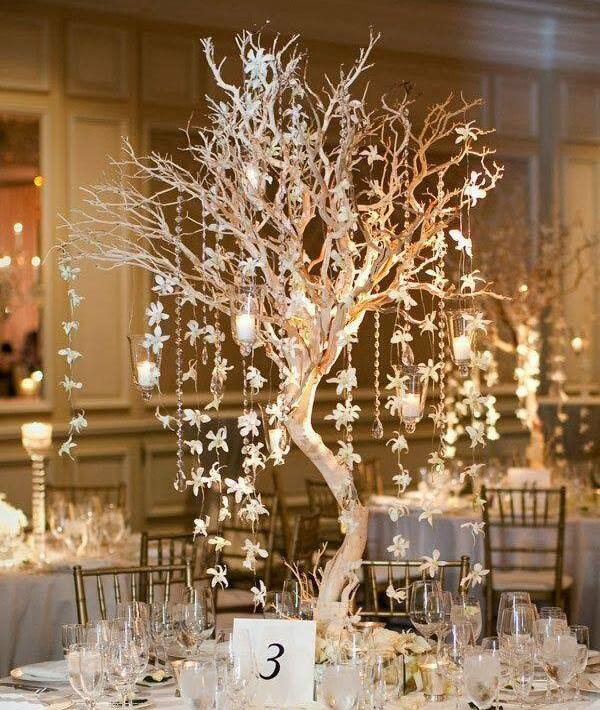 trees, wedding stuff, light and decorations