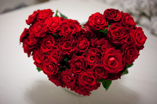 joy, love and he