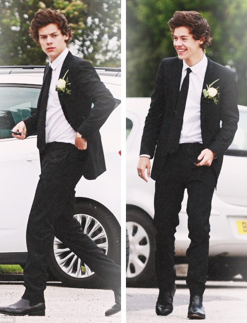 anne cox and harry's mom