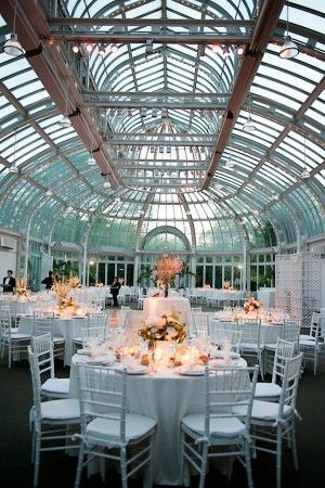 greenhouse, glass and reception