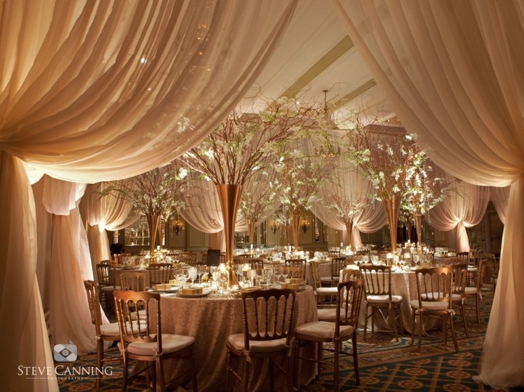tent, reception and indoor