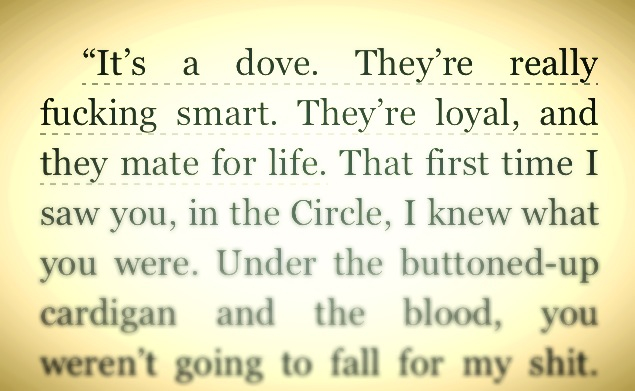 beautiful wedding, travis maddox and pidge