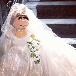 pig, vivienne westwood and the muppets