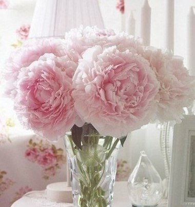 nice, flowers and like