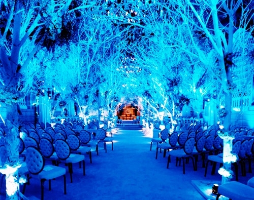 cold, marriage and colorful