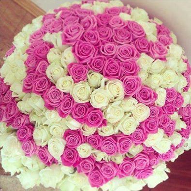 roses, colors and huge