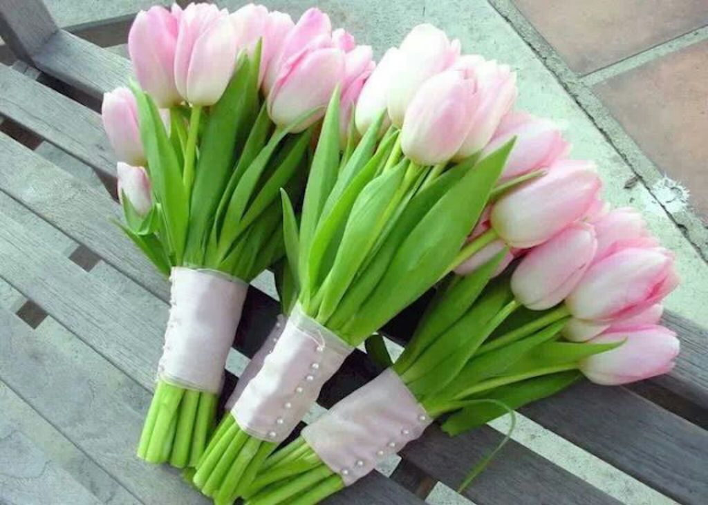 pink, flowers, holland and beautiful; girly