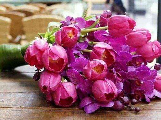 tulips, roses and fashion