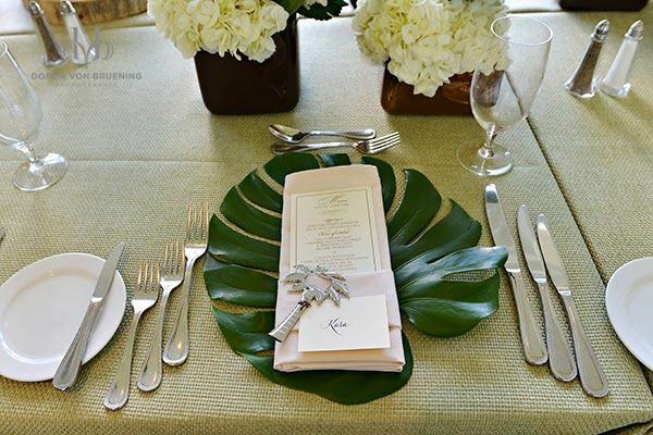 palm-tree, tropical and bride