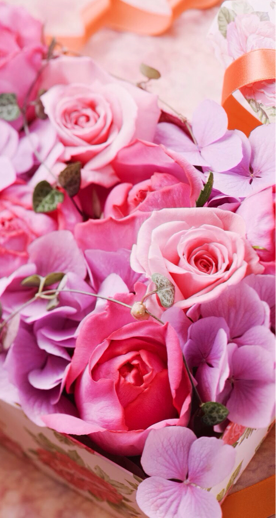 hydrangea, roses, love and fragrant