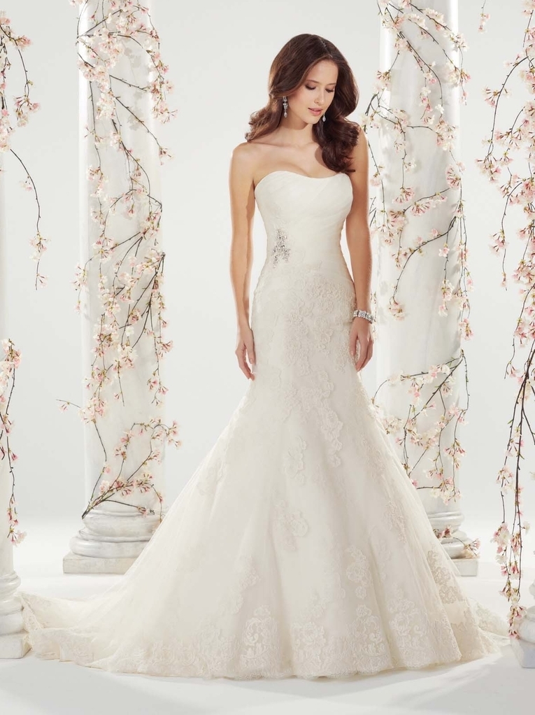 wedding dress and wedding occasion dresses