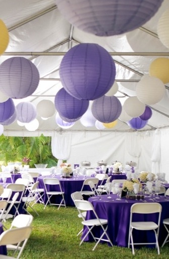 lavander, reception and inspiration