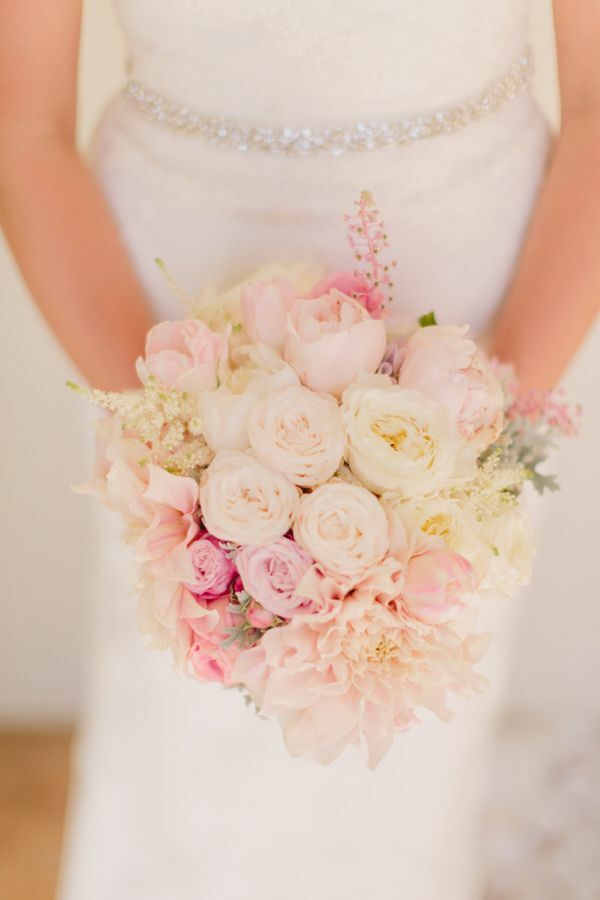 rose, flower, flowers and nature