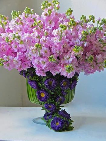 roses, elegant and pink