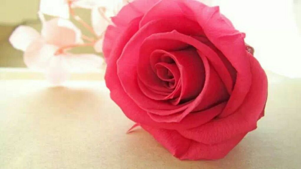 pretty, fashion, red and beautiful