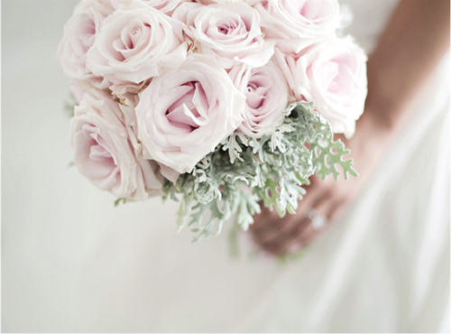 pale, roses and white