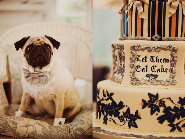 let them eat cake, cute and cake