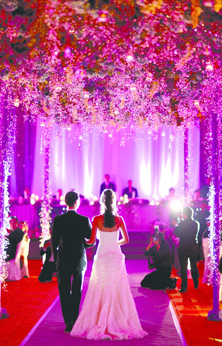luxury, carpet and romantic
