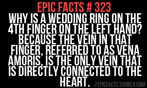 love, heart and epic facts