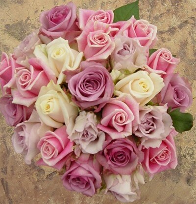 flowers, roses and pink