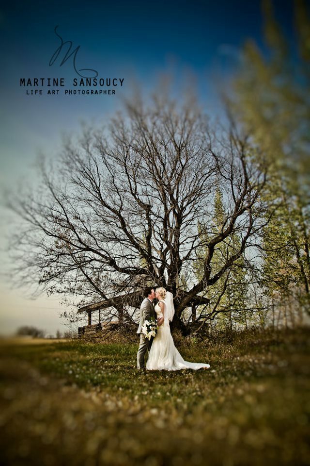warm, sweet, photography and trees
