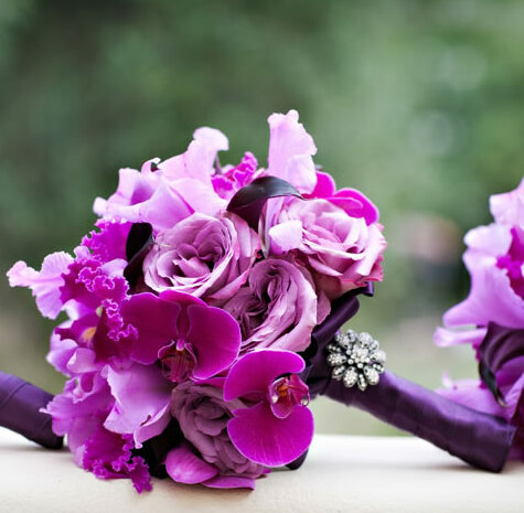 purple and flowers