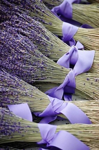 lavender, purple and idea