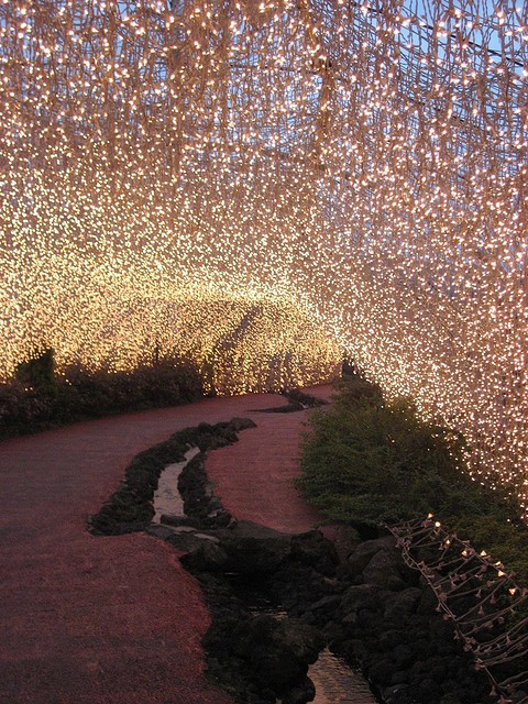 s, fairy lights and lights