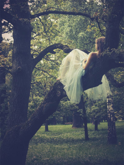 forest, white and nature