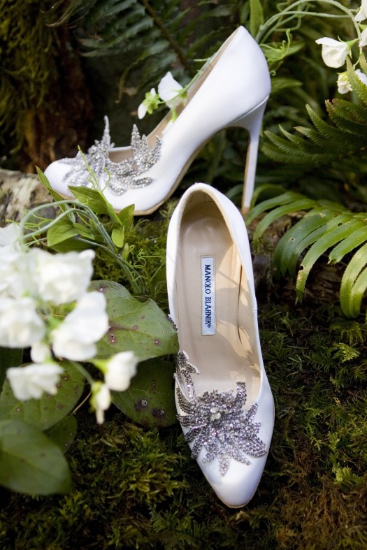 shoe, breaking dawn and manolo blahnik