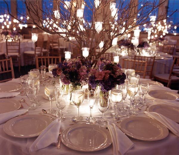 white, tree, lights and food