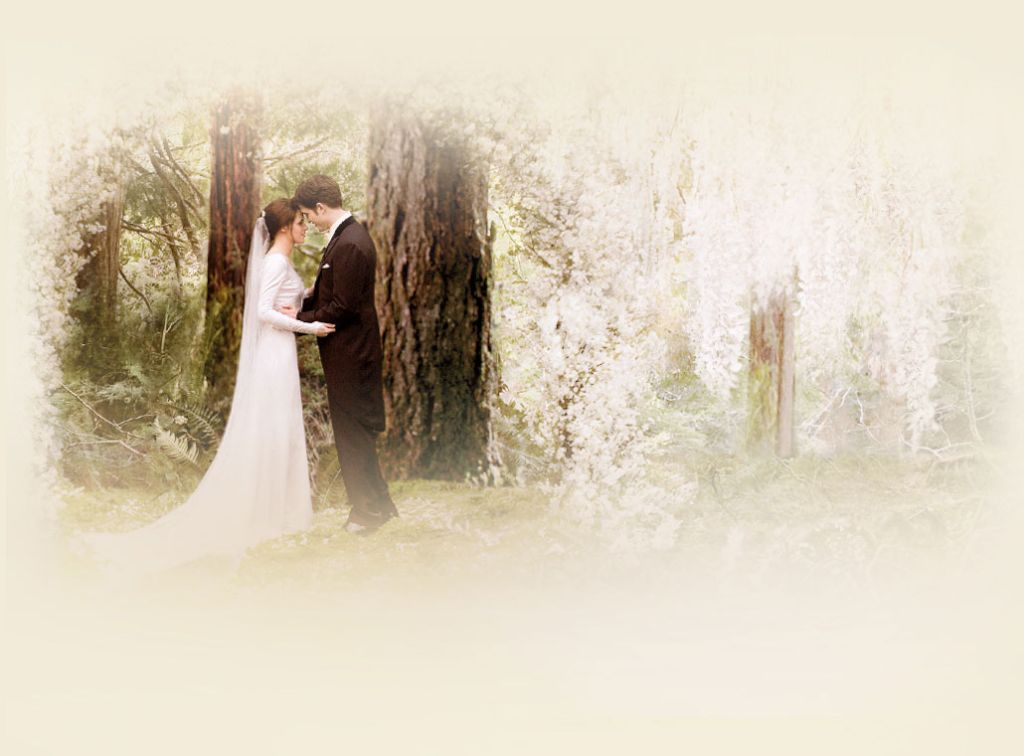 edward, bella, beautiful and breaking dawn