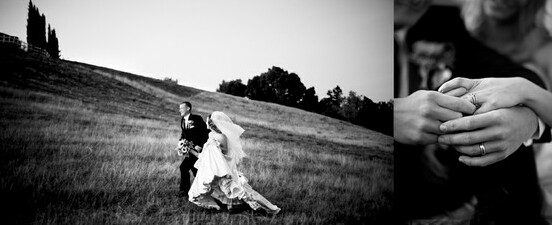 love, sunflower and photography