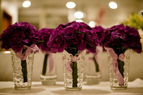 fashion, life and purple