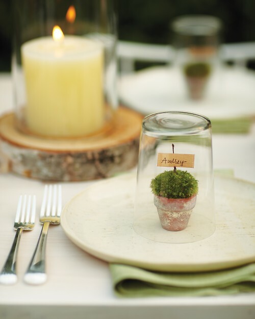 centerpiece, flowers and decor