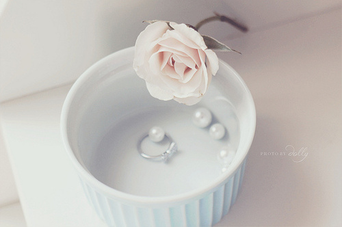 fashion, ring and rose