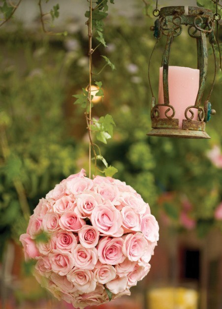 beautiful, rose, pink and sweet