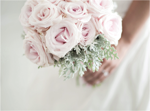 roses, pink and pastel