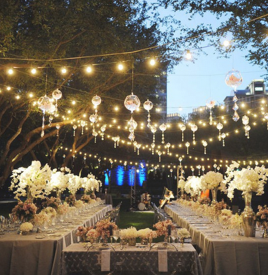 dinner, lights and decor