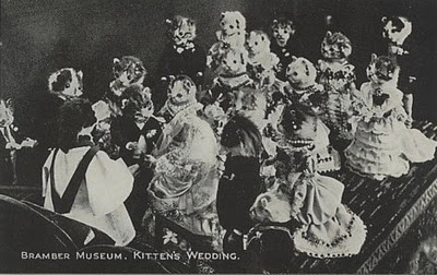 kittens, postcard and dark