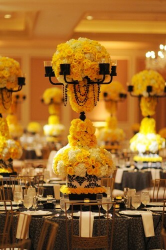 a mazing, modern and decor